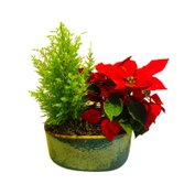 Coquetel Mix 5 Vaso Cerâmica