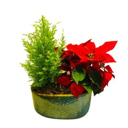 Imagem de Coquetel Mix 5 Vaso Cerâmica