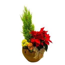 Imagem de Coquetel Mix 4 Vaso de Barro