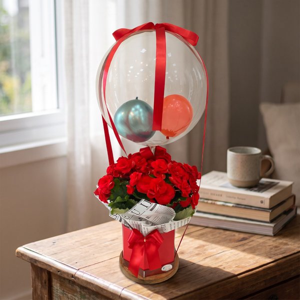 Begônia Vermelha com Balão
