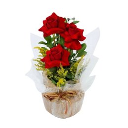 Imagem de Trio de Rosas Clean
