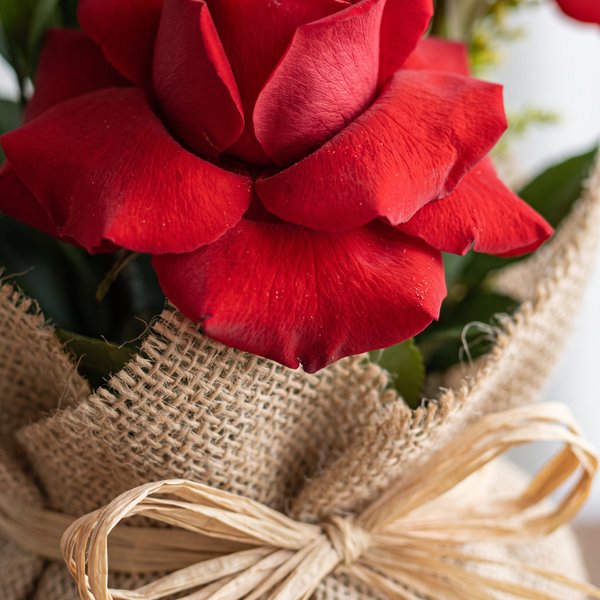 Trio de Rosas Clean