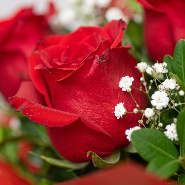 Vaso Love 10 Rosas