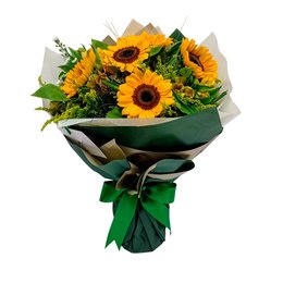 Imagem de buque 06 girrasois 