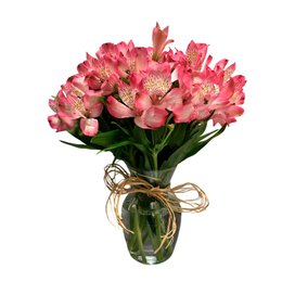 Imagem de Arranjo de Astromelias Cor de Rosa