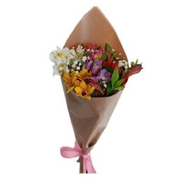 Imagem de Cone de Astromélias Coloridas 