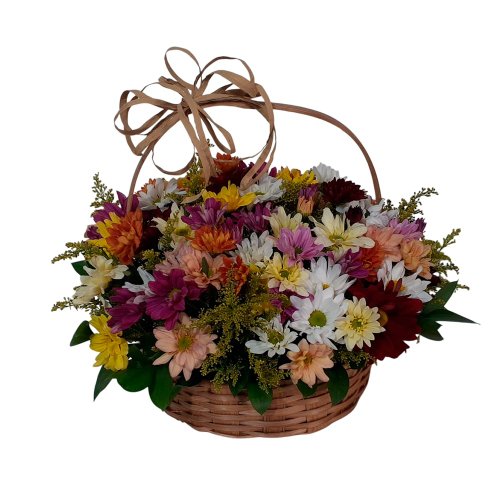 Cesta de Margaridas Coloridas