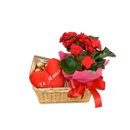 Imagem de Cesta com Mini Begônia e Chocolate