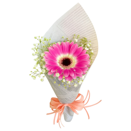 Imagem de Lindo Solitário de Gérbera