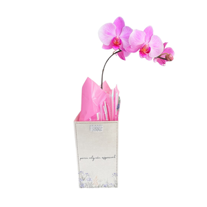 Imagem de Orquídea na Sacolinha para Alguém Especial