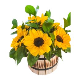 Imagem de Cachepô de Madeira com 8 Girassóis 
