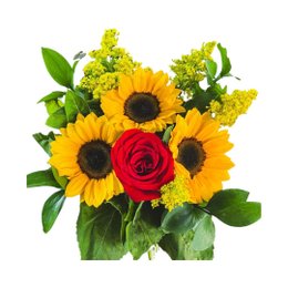 Imagem de Buquê de 3 Girassóis e 1 Rosa