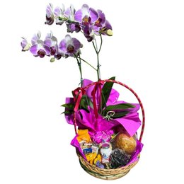 Imagem de Cesta de Café da Manhã Brasília com Orquídea