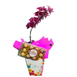 Imagem de Orquídea Phalaenopsis com Ferrero Rocher