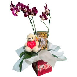 Imagem de Orquídea com Ferrero Rocher e Ursinho de Pelúcia