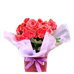 Imagem de Vaso De Begônia Rosa Tradicional