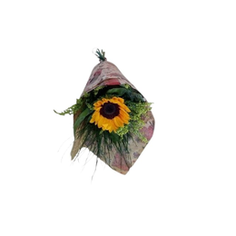 Imagem de Girassol no Kraft