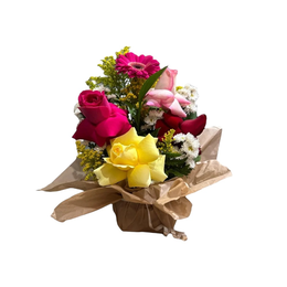 Imagem de Arranho Mix