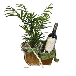 Imagem de Folhagem e Vinho DV Catena