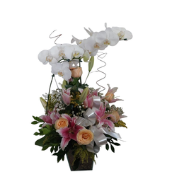 Imagem de Arranjo de Orquídea Mix