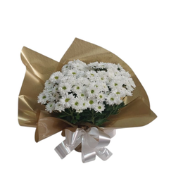 Imagem de Margarida plantada Branca Mine