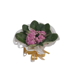 Imagem de Vaso de Violetas Plantadas