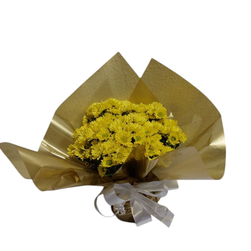 Margarida Plantada Amarela Mine