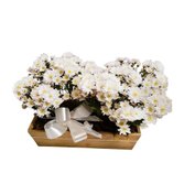 Cachepot com 2 Flores Margaridas Brancas