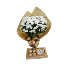 Imagem de Margaridinha Plantada em Vaso com Chocolate 