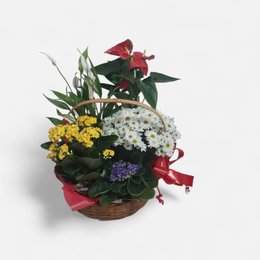Imagem de Cesta Mista de Flores
