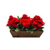 Jardineira de Rosas