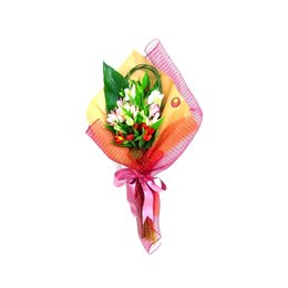 Imagem de Lindo Ramalhete de Astromélias