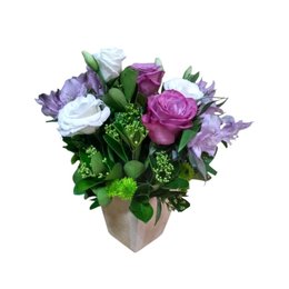 Imagem de Frescor que Acalma