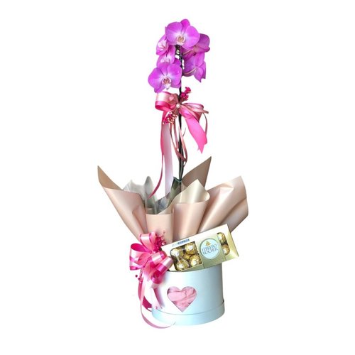 Orquídea com Ferrero Rocher no Box