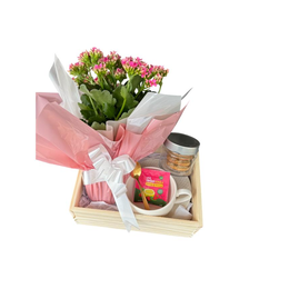 Imagem de Cesta de Presente Florida - Delicadeza Que Encanta