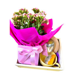 Imagem de Cesta Mimo Rosa Presente Delicado Flor