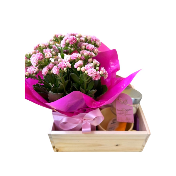 Cesta Mimo Rosa Presente Delicado Flor