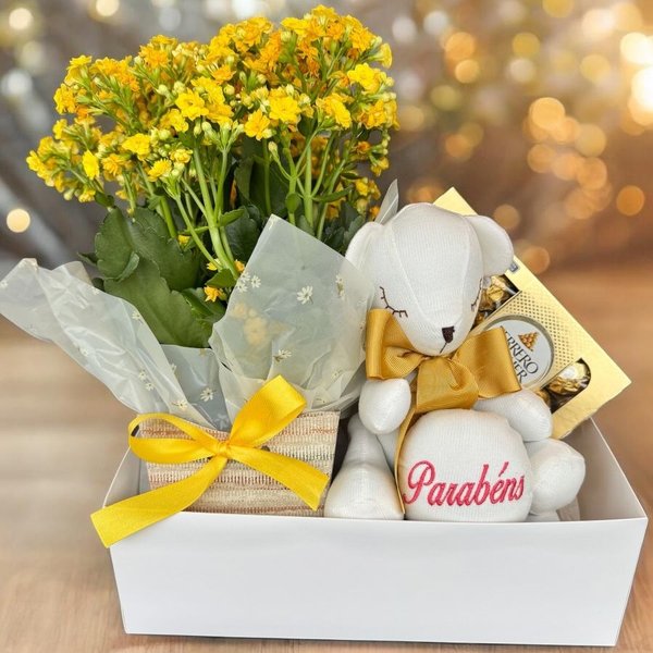 Cesta de Aniversário Parabéns: Kalanchoe e Ferrero 