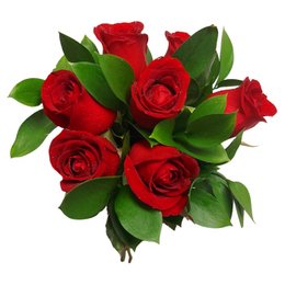 Imagem de Delicado - 6 rosas vermelhas