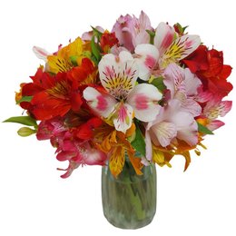 Imagem de Vaso - Um Mimo