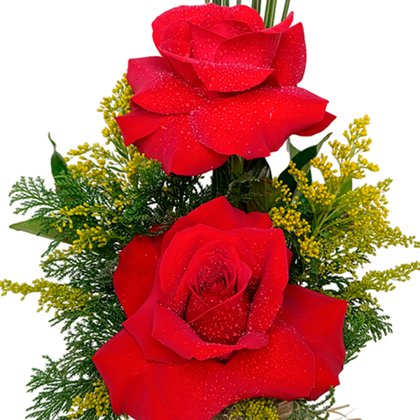 Arranjo de 2 Rosas Importada