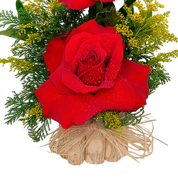 Arranjo de 2 Rosas Importada