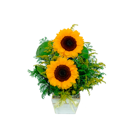 Imagem de Duo de Girassol 