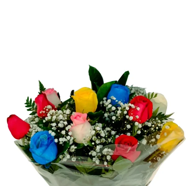 Buque 12 Rosas Coloridas
