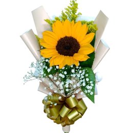 Imagem de Girassol Luz Do Amanhecer