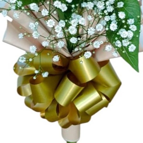 Girassol Luz Do Amanhecer