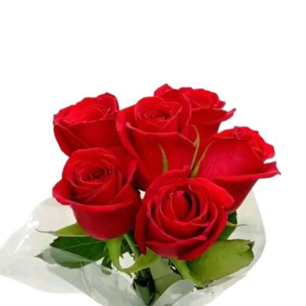 Buque Linda 6 Rosas Vermelhas