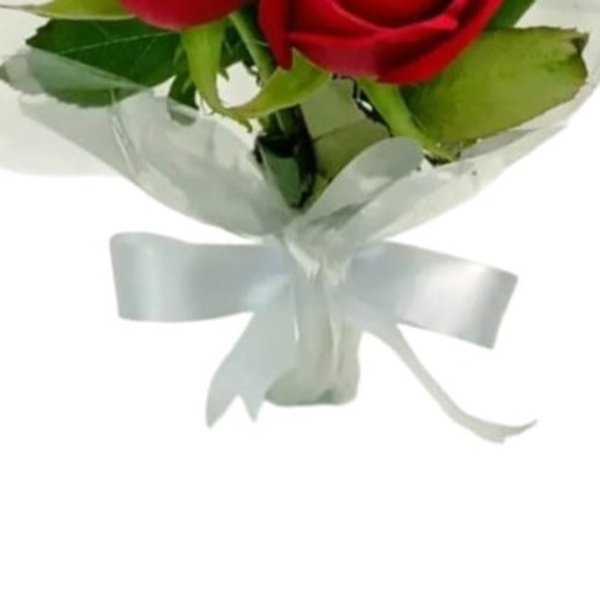 Buque Linda 6 Rosas Vermelhas