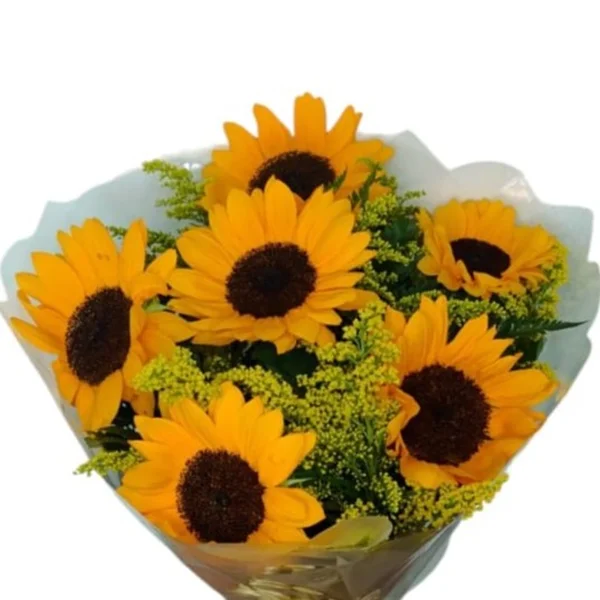 Buque Girassol Sintonia