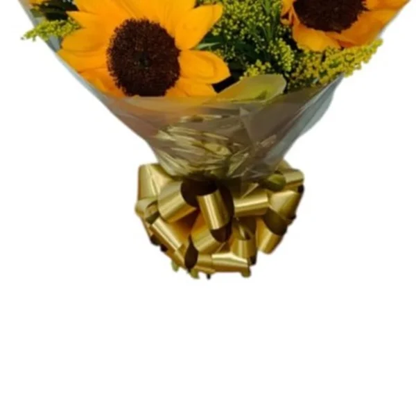 Buque Girassol Sintonia